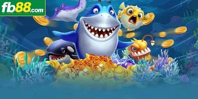 Hành trình săn thưởng trên thuyền quý bắt cá